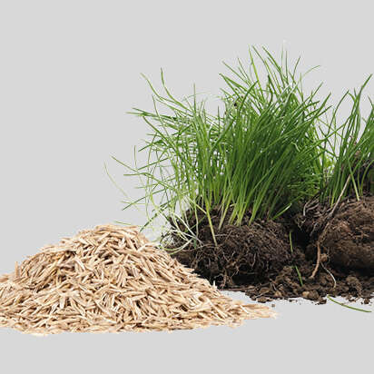 rasensamen bubblenavibild